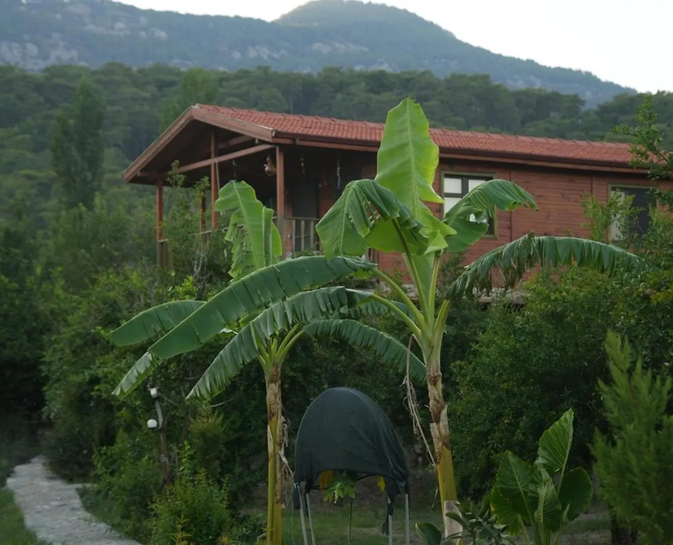 بيت للعطل فيلا Lake Wood House موجلا تركيا
